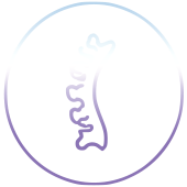 脊椎自然對齊 icon